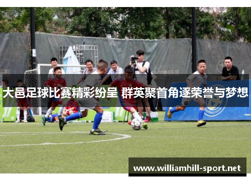 大邑足球比赛精彩纷呈 群英聚首角逐荣誉与梦想 大邑足球比赛精彩纷呈 群英聚首角逐荣誉与梦想